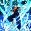 vegito_0298