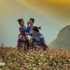 hong_mai_2k2