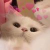 user210807060906