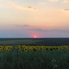 denis_babenko6