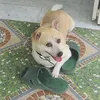 gaungaomt