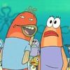 loadof.barnacles