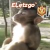 eletzgo