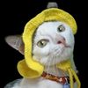 minyomu