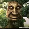 wisetreemagic