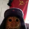 kingkongsdingdong69