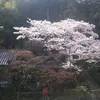 takashid1