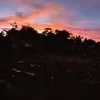 mbuletr