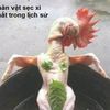 vannguyen.bp19