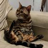 lookkubno_1