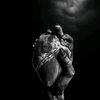maryam.alayed