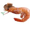 bigshrimpin0217