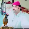 guljananpk