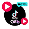 selo_v_tik_tok