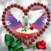haninchaabene