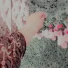 maryamku4