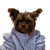 michodermoocha