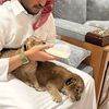 xsًِ