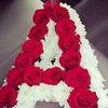 abde3687319767851
