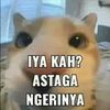 mudafakirilmu_19