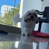 juancdiaz021