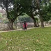 ngocvu421