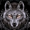 snik7292