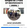 user5771170214209