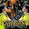 shena0446