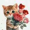 user3910801530148