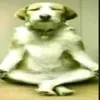 7377eeee