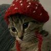 strawberrycloud_10