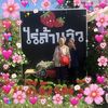 thanyaporn_2512