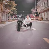 datpi19
