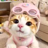 bini_shop2025