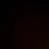 sha_bine