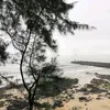 taikhoanbitamkhoa