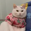 phuong_nhung_24