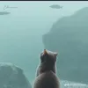 hongqui_06