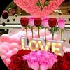 user6282501987931yatelay