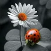 alessia.334