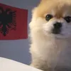 hamstermaster0.2