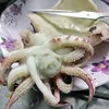 nguyentruongphap