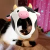 caaaasssqw