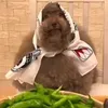 pipintulini