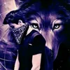 baqir_30