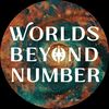 Worlds Beyond Number