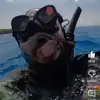 the_dubster