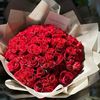 aall684