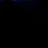 lvdizzy.kjj
